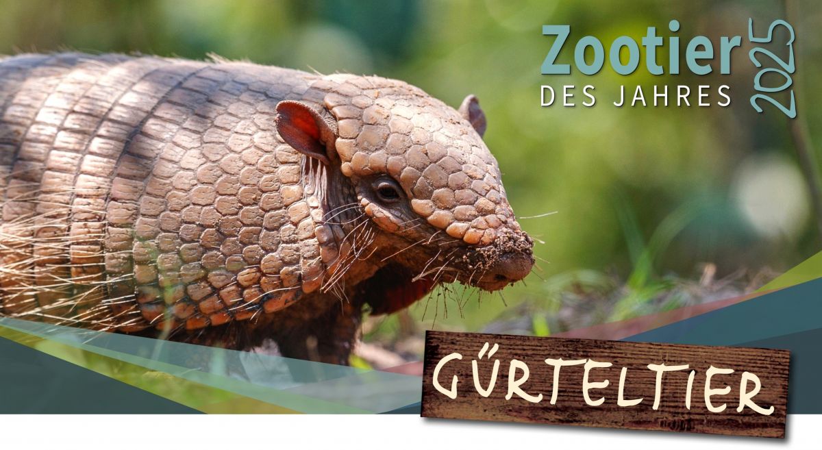 Zootier des Jahres - Kampagne